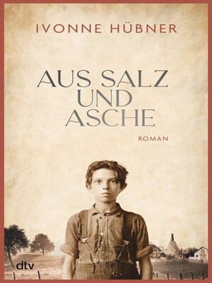 cover image of Aus Salz und Asche